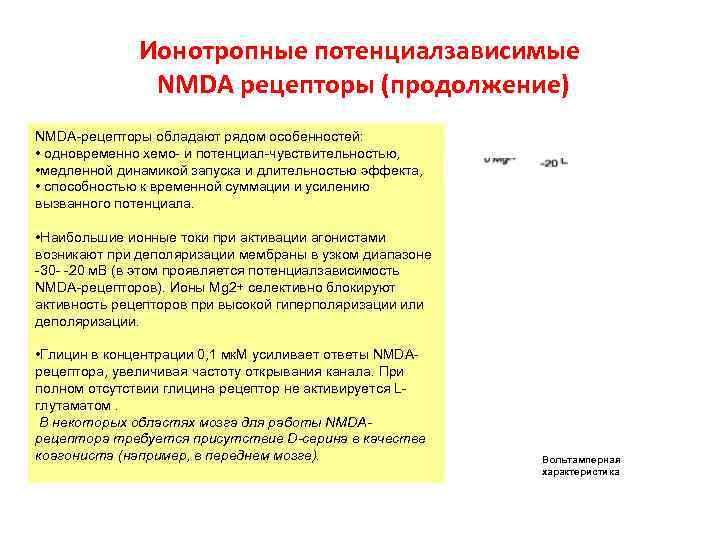 Ионотропные потенциалзависимые NMDA рецепторы (продолжение) NMDA-рецепторы обладают рядом особенностей: Ионотропные потенциалзависимые NMDA рецепторы (продолжение) NMDA-рецепторы обладают рядом особенностей: