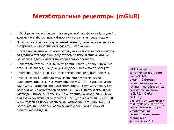 Метаботропные рецепторы (m. Glu. R) • m. Glu. R Метаботропные рецепторы (m. Glu. R) • m. Glu. R