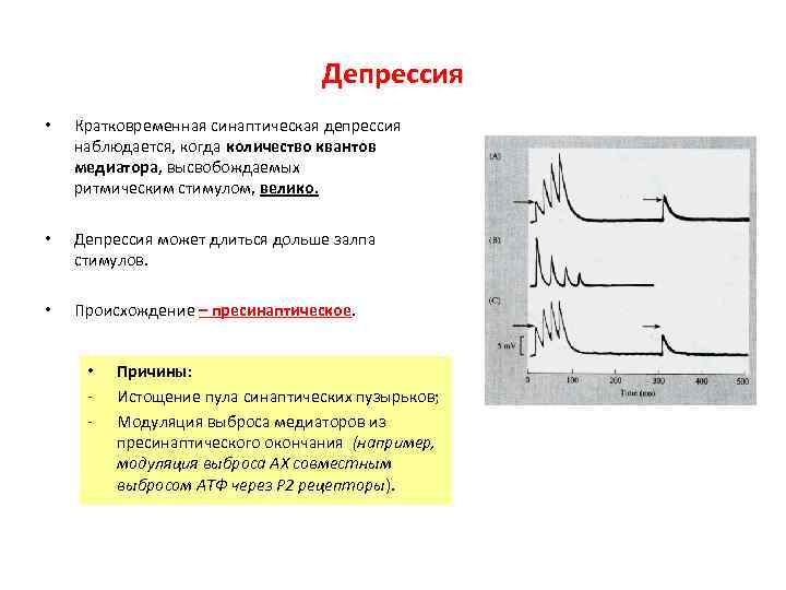 Депрессия • Кратковременная синаптическая депрессия наблюдается, Депрессия • Кратковременная синаптическая депрессия наблюдается,