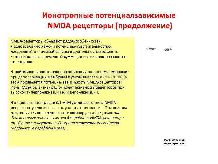     Ионотропные потенциалзависимые   NMDA рецепторы (продолжение) NMDA-рецепторы обладают рядом