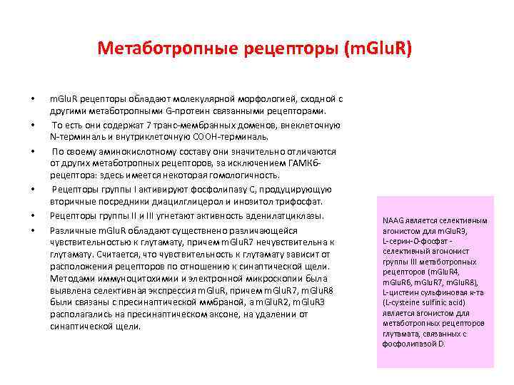    Метаботропные рецепторы (m. Glu. R)  •  m. Glu. R