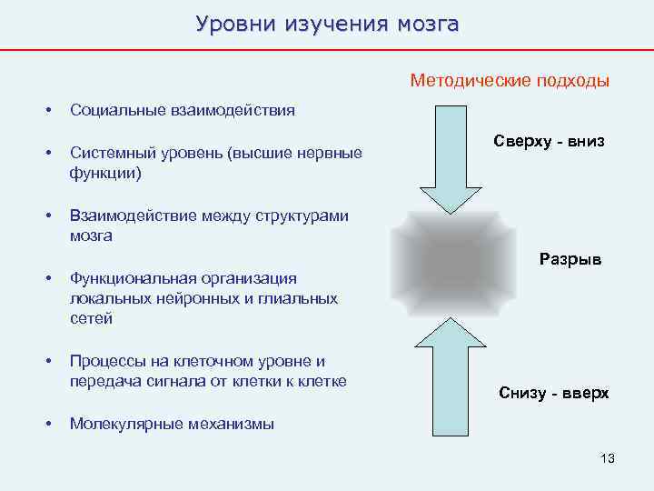     Уровни изучения мозга    Методические подходы • 