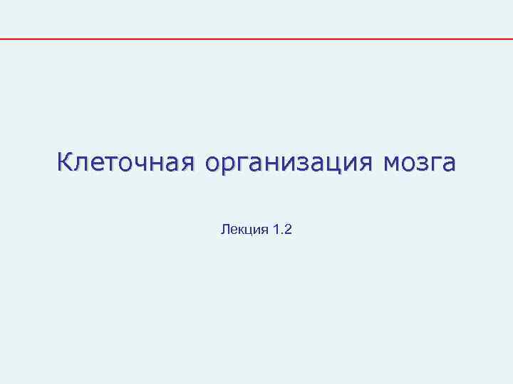 Клеточная организация мозга   Лекция 1. 2 