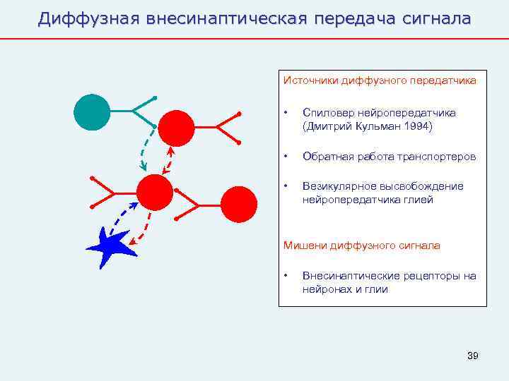 Диффузная внесинаптическая передача сигнала      Источники диффузного передатчика  