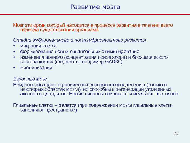     Развитие мозга Мозг это орган который находится в процессе развития