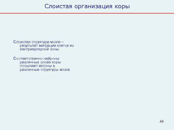     Слоистая организация коры Слоистая структура мозга –  результат миграции