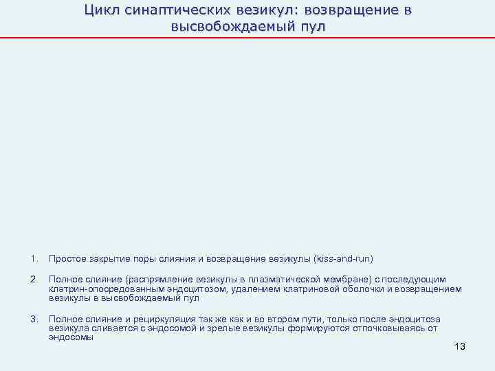   Цикл синаптических везикул: возвращение в    высвобождаемый пул 1. 