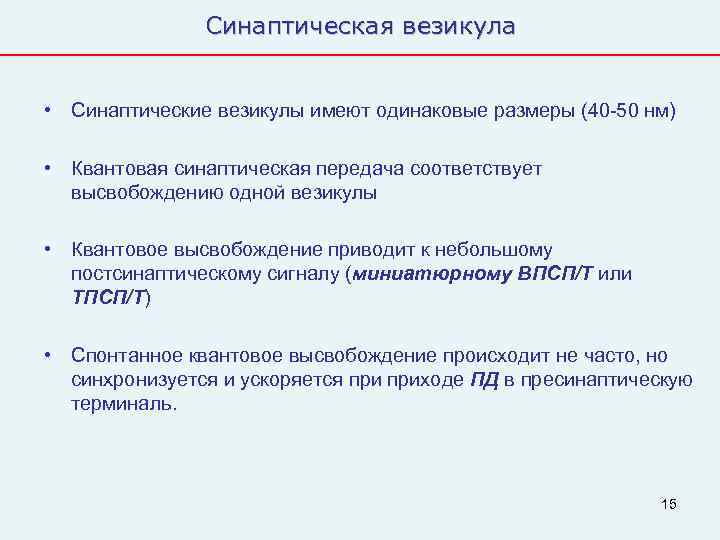     Синаптическая везикула  • Синаптические везикулы имеют одинаковые размеры (40