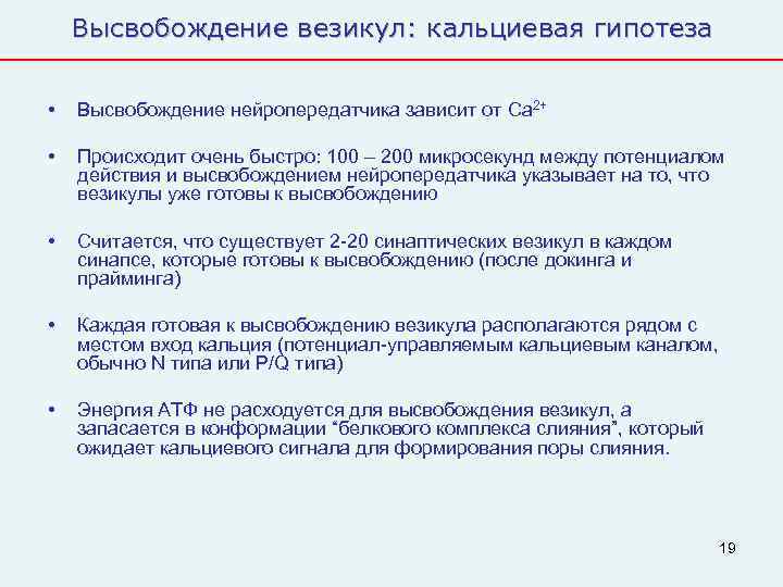   Высвобождение везикул: кальциевая гипотеза  •  Высвобождение нейропередатчика зависит от Ca