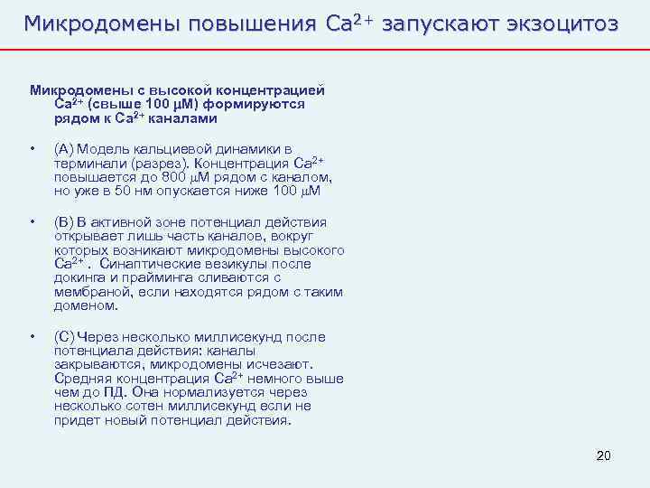 Микродомены повышения Ca 2+ запускают экзоцитоз Микродомены с высокой концентрацией  Ca 2+ (свыше