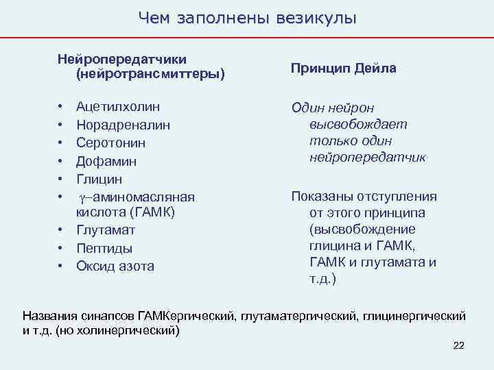    Чем заполнены везикулы  Нейропередатчики  (нейротрансмиттеры)    Принцип
