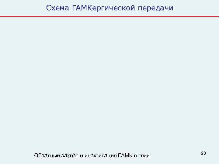   Схема ГАМКергической передачи     23 Обратный захват и инактивация