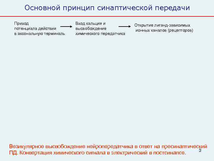  Основной принцип синаптической передачи  Приход    Вход кальция и 