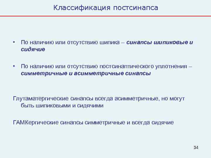    Классификация постсинапса • По наличию или отсутствию шипика – синапсы шипиковые