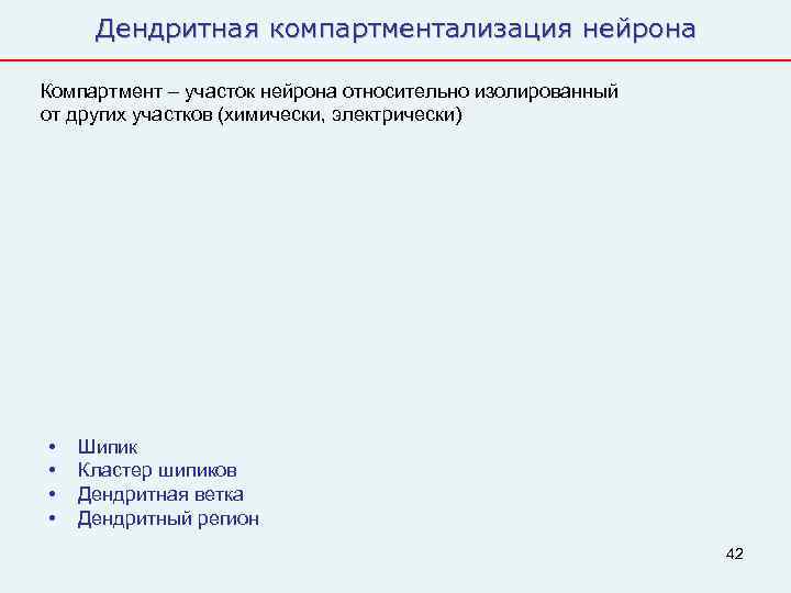 Дендритная компартментализация нейрона Компартмент – участок нейрона относительно изолированный от других участков (химически,