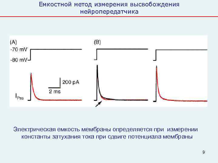   Емкостной метод измерения высвобождения    нейропередатчика Электрическая емкость мембраны определяется