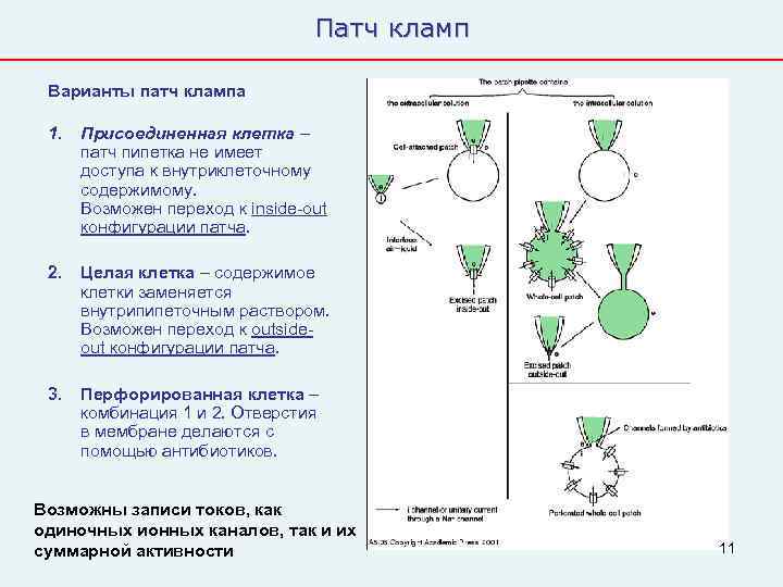       Патч кламп  Варианты патч клампа  1.