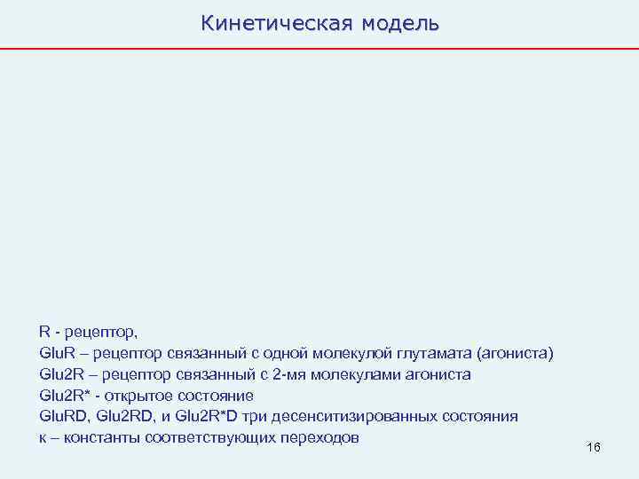     Кинетическая модель R - рецептор, Glu. R – рецептор связанный