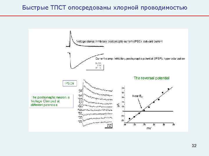 Быстрые ТПСТ опосредованы хлорной проводимостью     32 