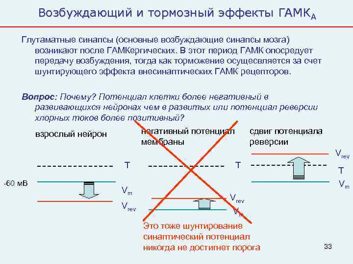    Возбуждающий и тормозный эффекты ГАМКА Глутаматные синапсы (основные возбуждающие синапсы мозга)