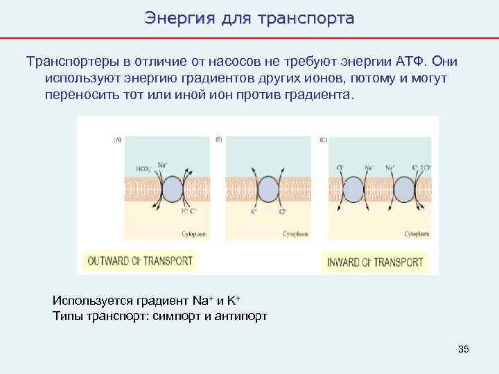    Энергия для транспорта Транспортеры в отличие от насосов не требуют энергии