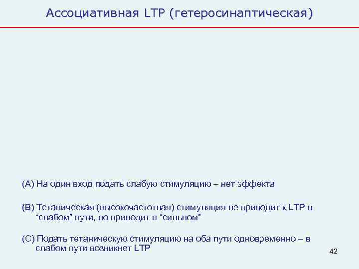  Ассоциативная LTP (гетеросинаптическая) (А) На один вход подать слабую стимуляцию – нет эффекта