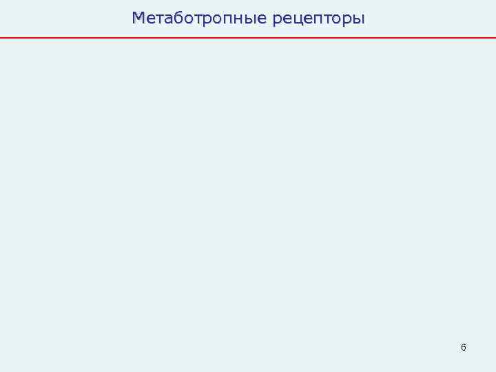 Метаботропные рецепторы      6 
