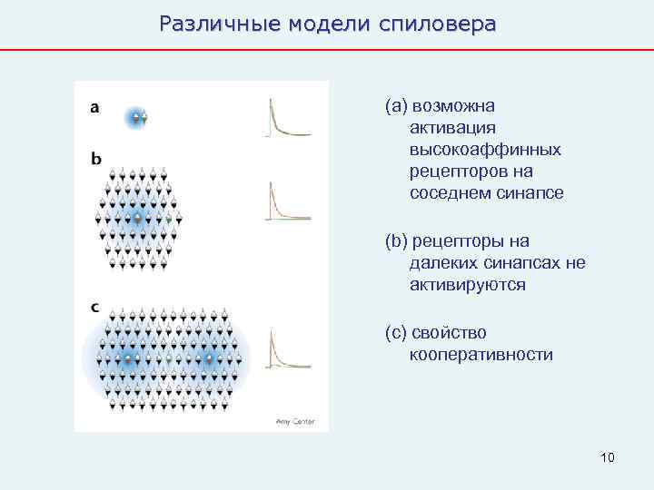 Различные модели спиловера    (а) возможна     активация 