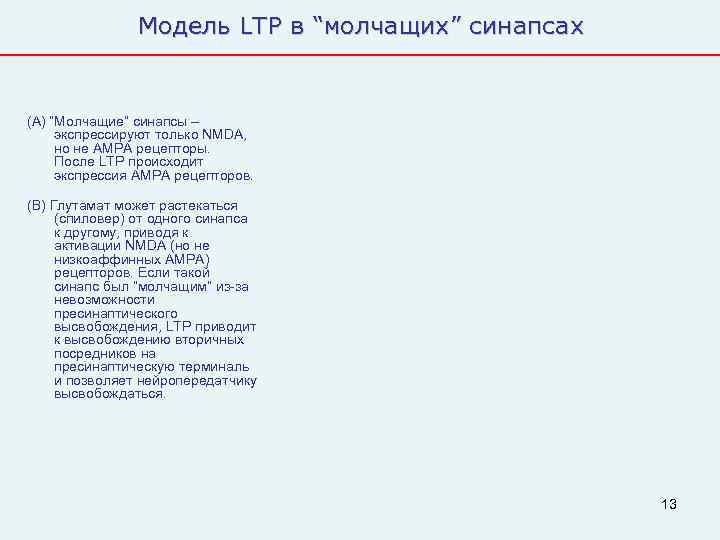     Модель LTP в “молчащих” синапсах  (A) “Молчащие” синапсы –