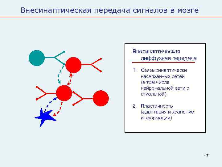 Внесинаптическая передача сигналов в мозге      Внесинаптическая   
