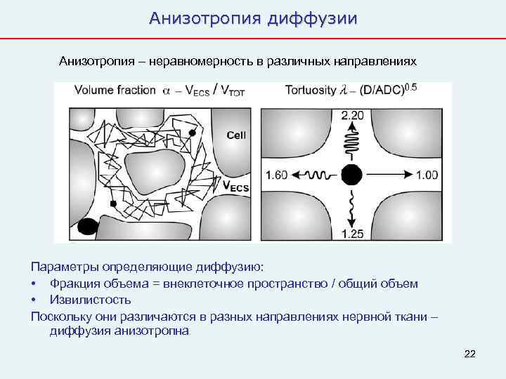    Анизотропия диффузии Анизотропия – неравномерность в различных направлениях Параметры определяющие диффузию: