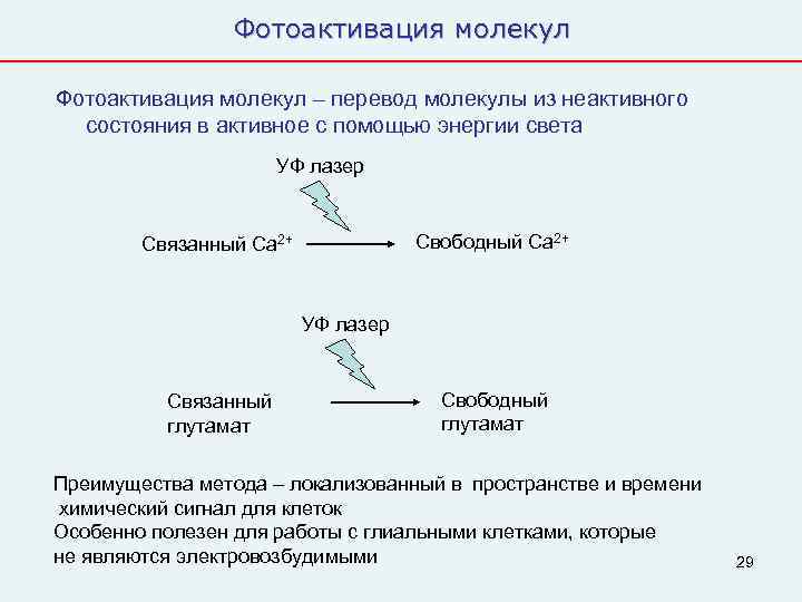     Фотоактивация молекул – перевод молекулы из неактивного  состояния в