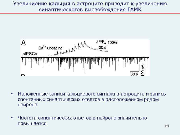 Увеличиение кальция в астроците приводит к увеличению   синаптическогов высвобождения ГАМК • Наложенные
