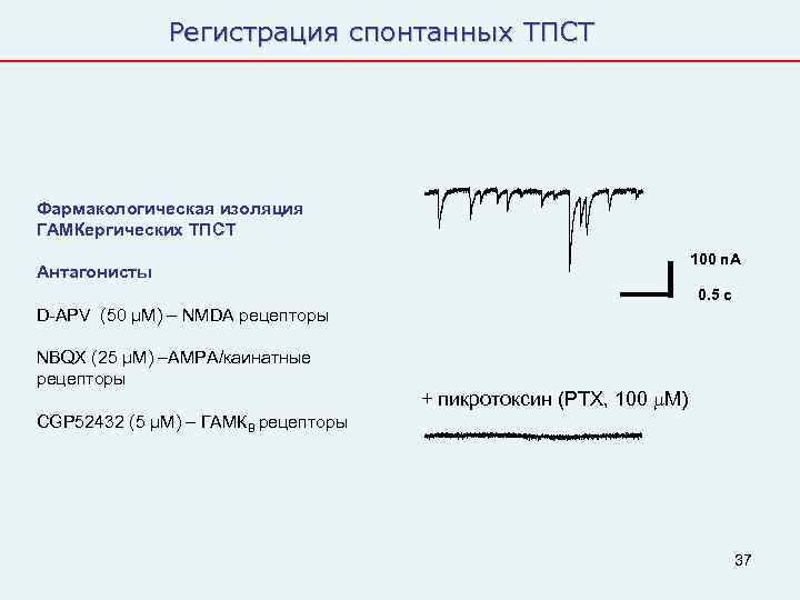    Регистрация спонтанных ТПСТ Фармакологическая изоляция ГАМКергических ТПСТ    