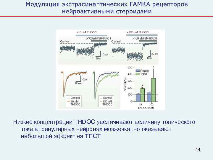   Модуляция экстрасинаптических ГАМКА рецепторов   нейроактивными стероидами Низкие концентрации THDOC увеличивают