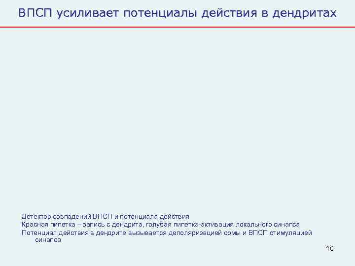 ВПСП усиливает потенциалы действия в дендритах Детектор совпадений ВПСП и потенциала действия Красная пипетка