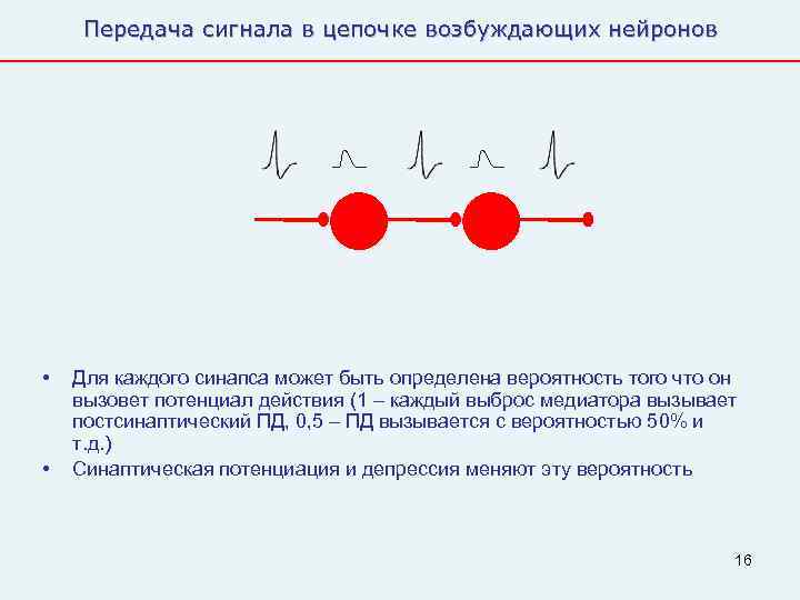  Передача сигнала в цепочке возбуждающих нейронов •  Для каждого синапса может быть