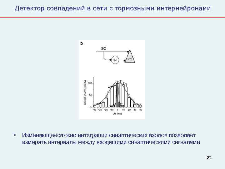 Детектор совпадений в сети с тормозными интернейронами •  Изменяющееся окно интеграции синаптических входов