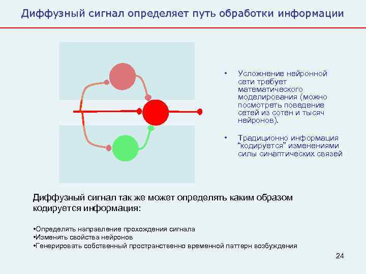 Диффузный сигнал определяет путь обработки информации      •  Усложнение