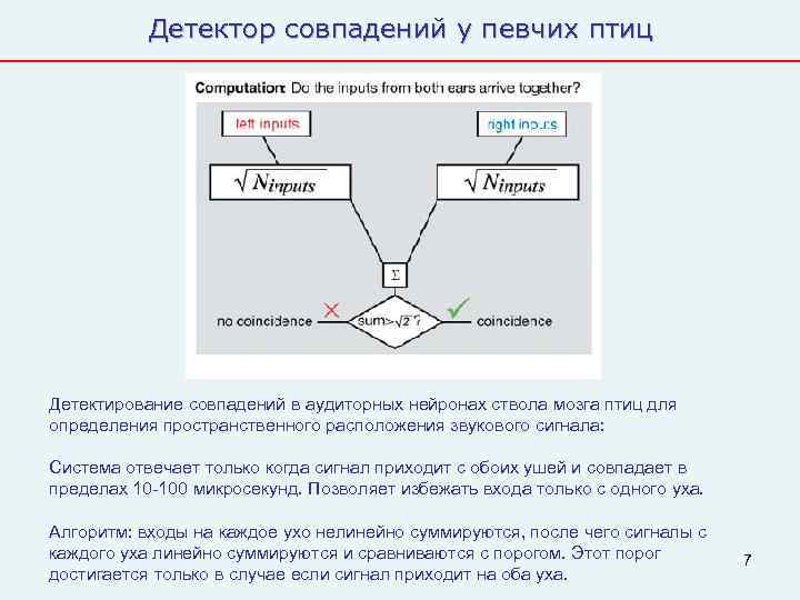 Состав детектора