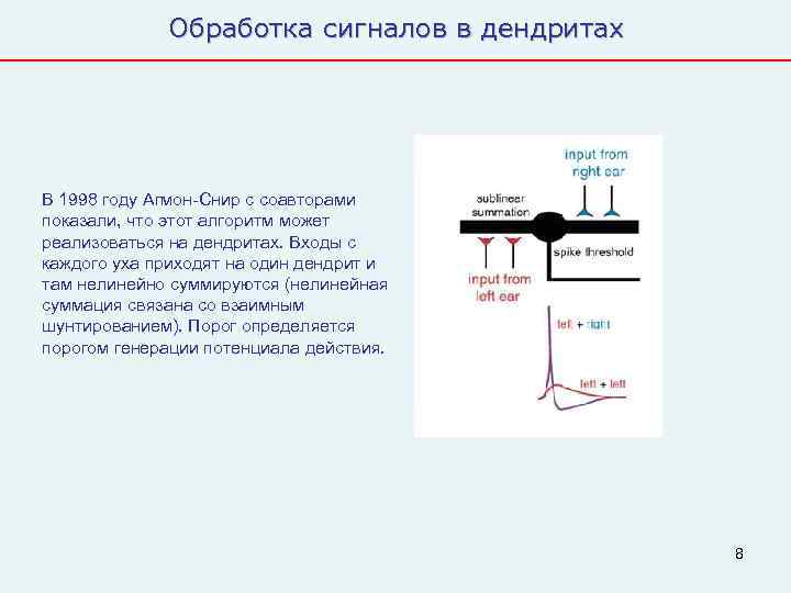    Обработка сигналов в дендритах В 1998 году Агмон-Снир с соавторами показали,