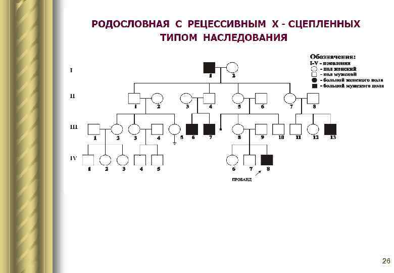 Как наследуется шизофрения схема