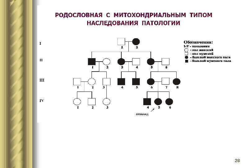 Наследственная трансмиссия схема