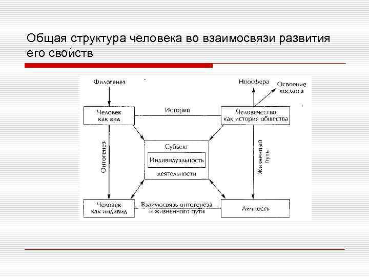 Взаимосвязь развития