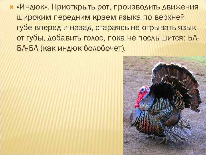  «Индюк» . Приоткрыть рот, производить движения широким передним краем языка по верхней губе