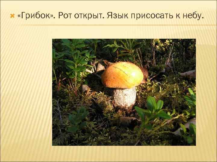   «Грибок» .  Рот открыт. Язык присосать к небу. 