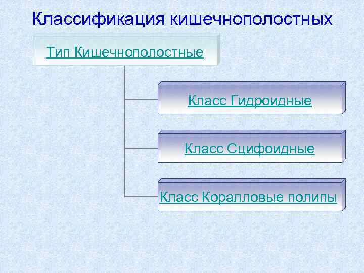 Классификация кишечнополостных Тип Кишечнополостные     Класс Гидроидные    