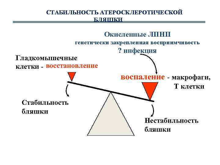 СТАБИЛЬНОСТЬ АТЕРОСКЛЕРОТИЧЕСКОЙ БЛЯШКИ Окисленные ЛПНП генетически закрепленная восприимчивость Гладкомышечные клетки - восстановление ? инфекция