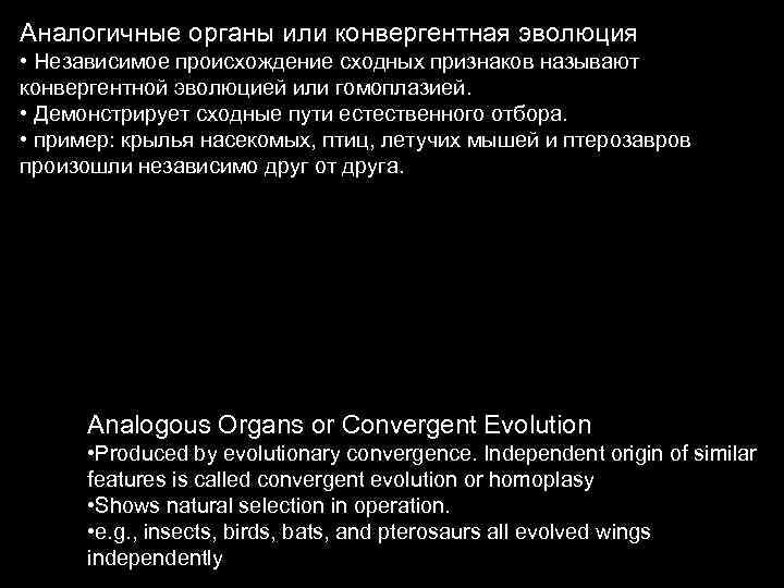 Аналогичные органы или конвергентная эволюция • Независимое происхождение сходных признаков называют конвергентной эволюцией или