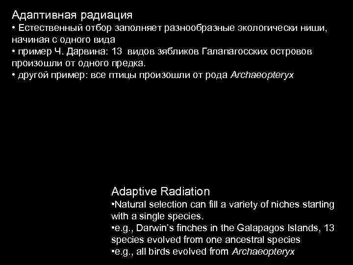 Адаптивная радиация • Естественный отбор заполняет разнообразные экологически ниши, начиная с одного вида •